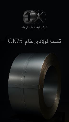 شرکت فولاد تجارت فرجام