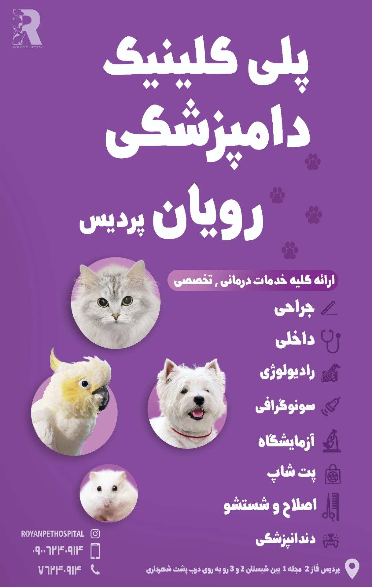 عکس پلی کلینیک دامپزشکی رویان پردیس