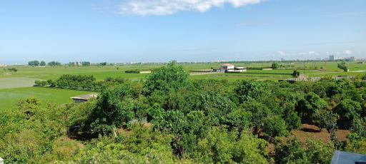 عکس منطقه گردشگری آرمیچ کلا 