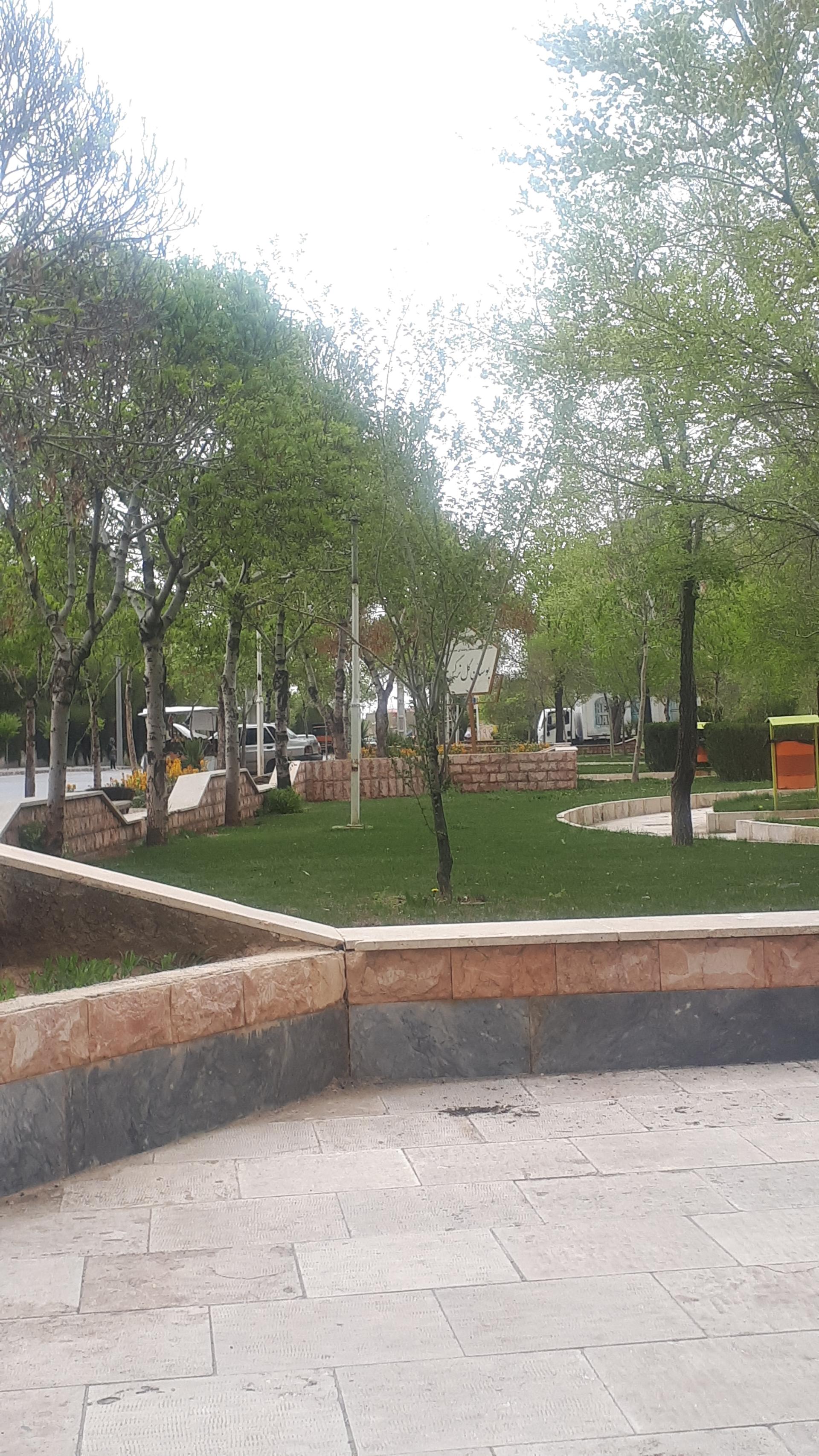 عکس بوستان گل نرگس