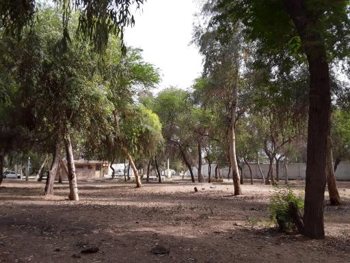 استراحتگاه جنگلی شهروند