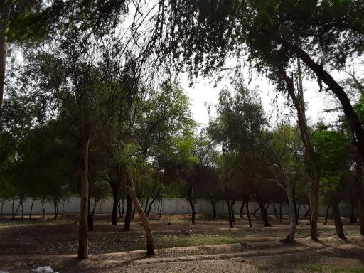 استراحتگاه جنگلی شهروند