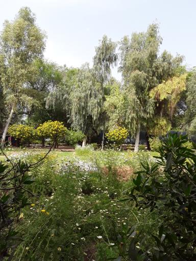 استراحتگاه جنگلی شهروند