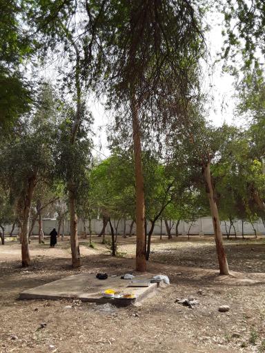 استراحتگاه جنگلی شهروند