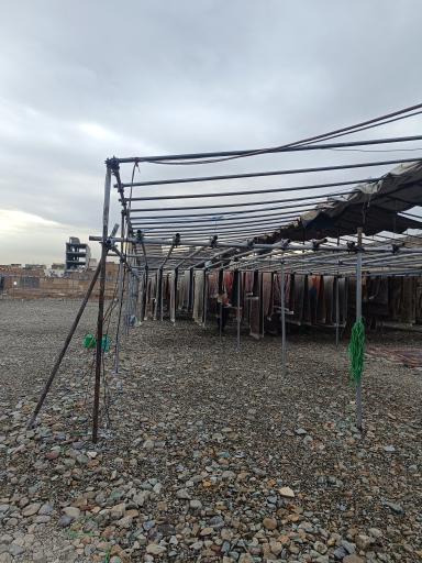 عکس کارخانه قالیشویی امین تهران