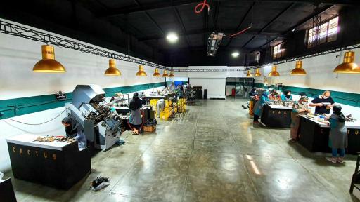 عکس چرم کاکتوس