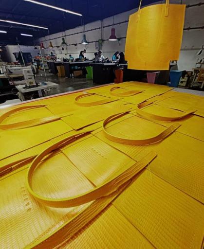 عکس چرم کاکتوس