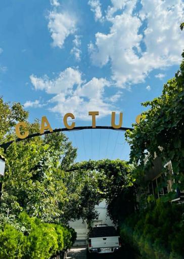 عکس چرم کاکتوس