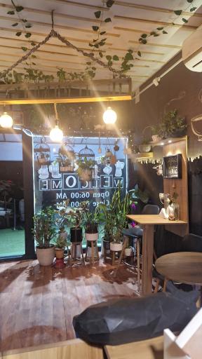 عکس کافه درنا