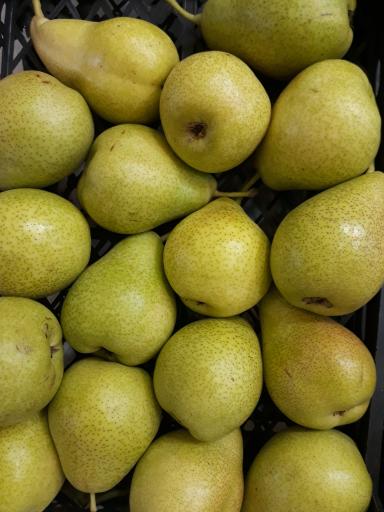 عکس سوپر میوه خاکسار(یدالله)