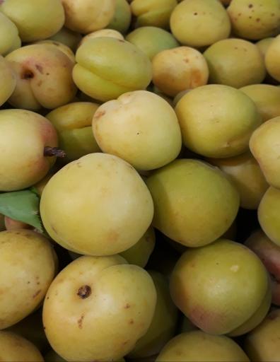 عکس سوپر میوه خاکسار(یدالله)