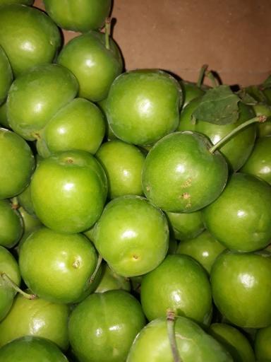 عکس سوپر میوه خاکسار(یدالله)