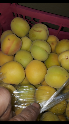 عکس سوپر میوه خاکسار(یدالله)