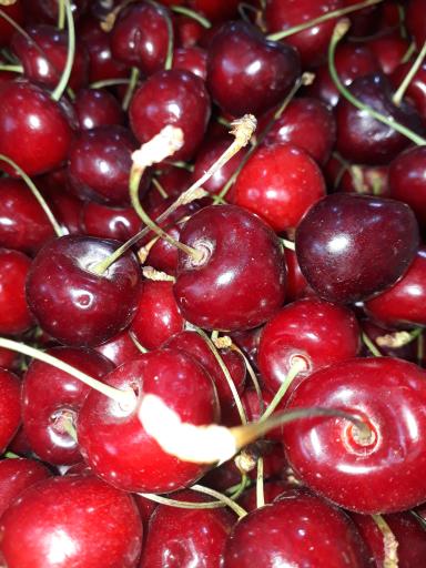 عکس سوپر میوه خاکسار(یدالله)