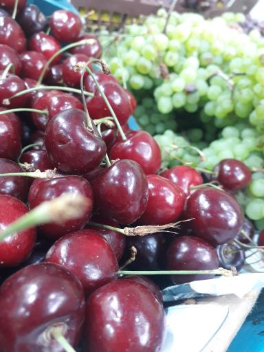 عکس سوپر میوه خاکسار(یدالله)