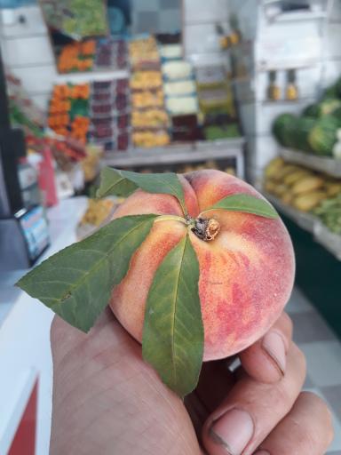 عکس سوپر میوه خاکسار(یدالله)