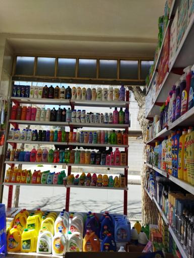 عکس شوینده بهداشتی تهران