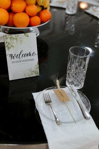 عکس خانه عقد پرنسا