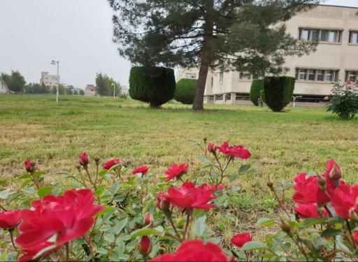 عکس بیمارستان خاتم الانبیاء تامین اجتماعی