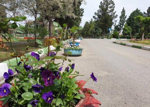 عکس بیمارستان خاتم الانبیاء تامین اجتماعی