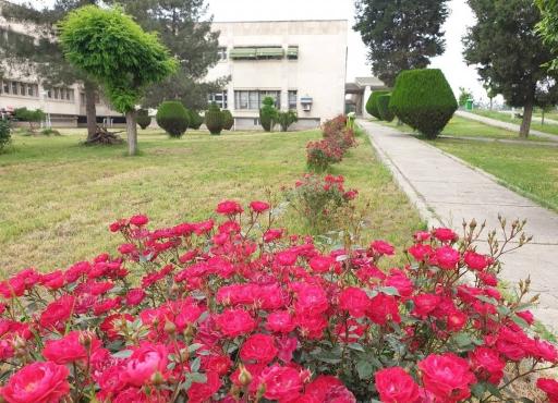 عکس بیمارستان خاتم الانبیاء تامین اجتماعی