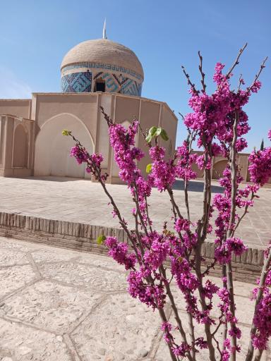 عکس مقبره شیخ عبد السلام