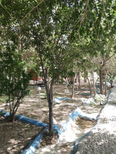 عکس باغ رستوران شبهای لرستان