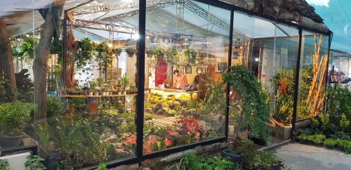 عکس کافه گل