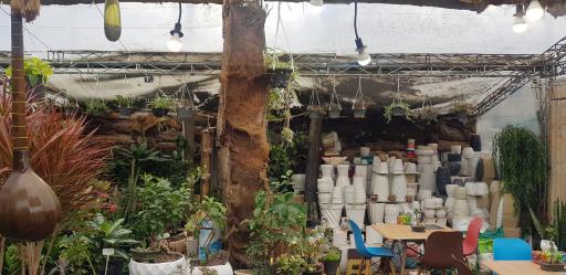 عکس کافه گل