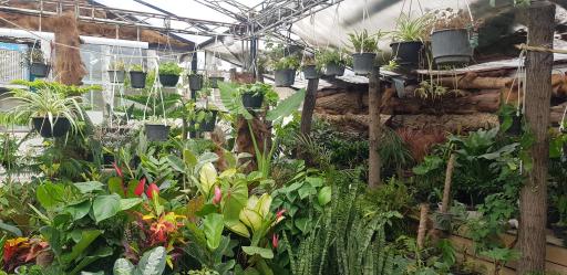 عکس کافه گل