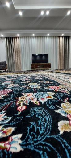 عکس پرده دکورا