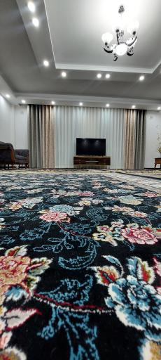 عکس پرده دکورا