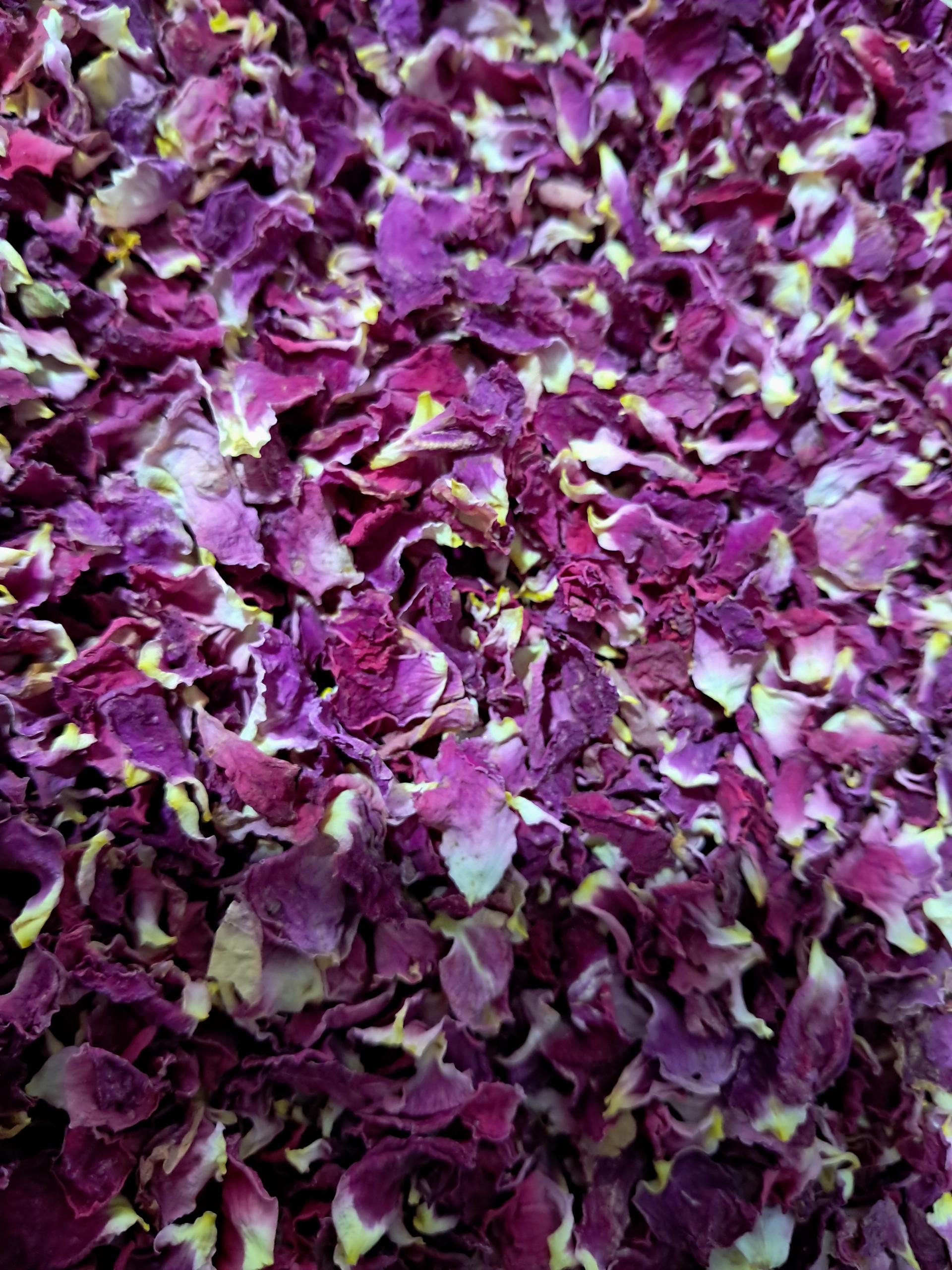 عکس کلبه ادویه جات خراسان