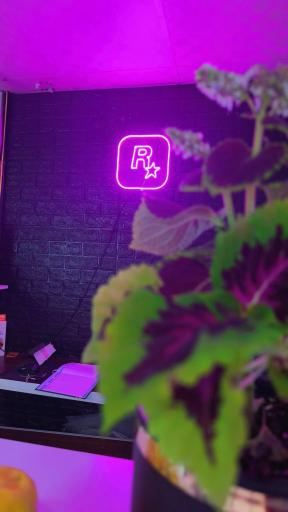 عکس کافه گیم و گیم نت سورنا