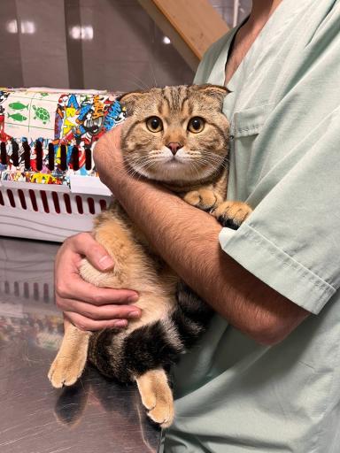 عکس کلینیک دامپزشکی دکتر رضا ترابی