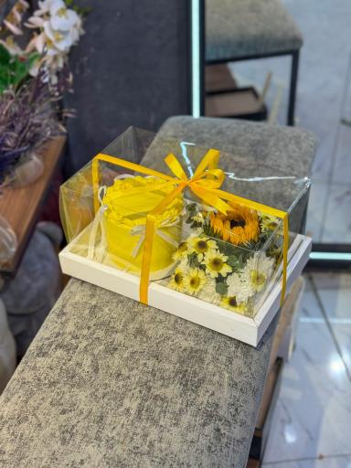 گل فروشی آچیلا