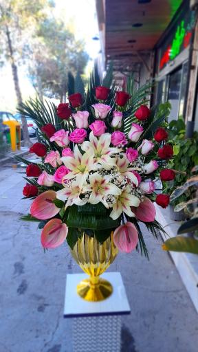 عکس گل فروشی آچیلا