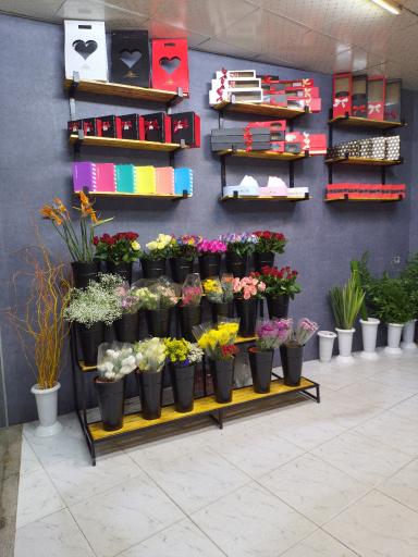 عکس گل فروشی آچیلا