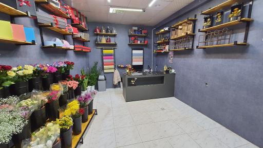 عکس گل فروشی آچیلا