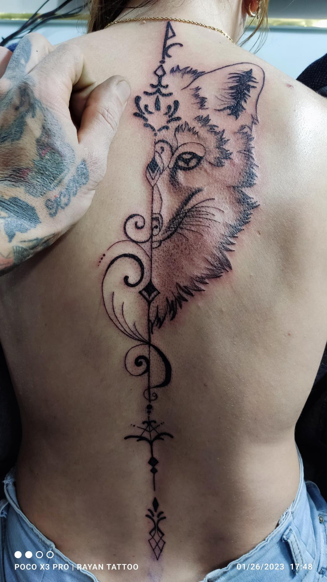 عکس تاتو رایان