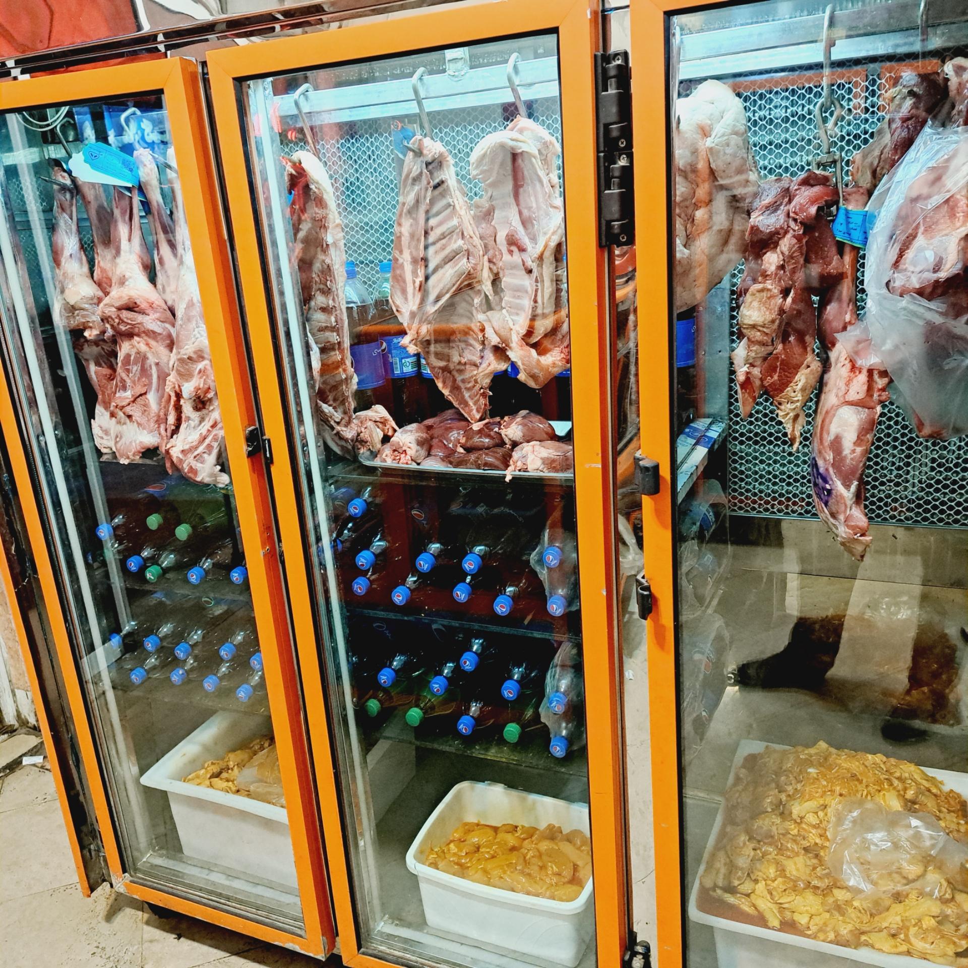 عکس هایپر پروتئین شاکری 