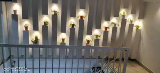 عکس بستنی سجاد 