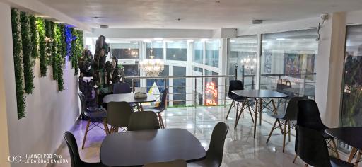 عکس بستنی سجاد 