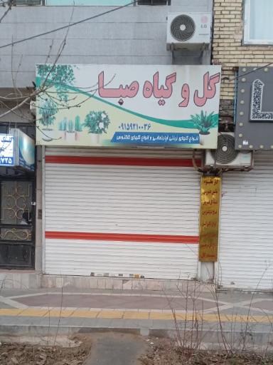 عکس گل و گیاه صبا