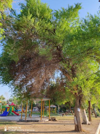 عکس پارک حجاب