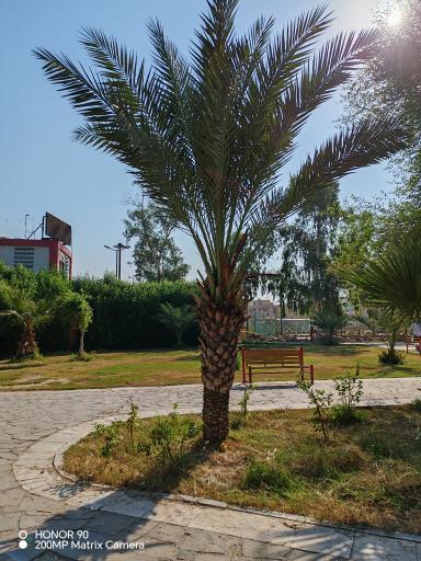 عکس پارک حجاب