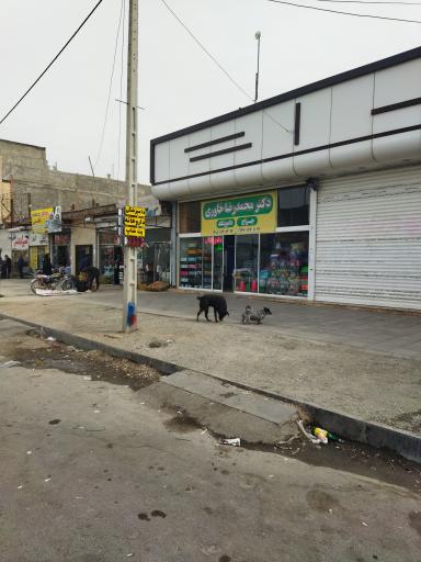 عکس دامپزشکی دکتر خاوری