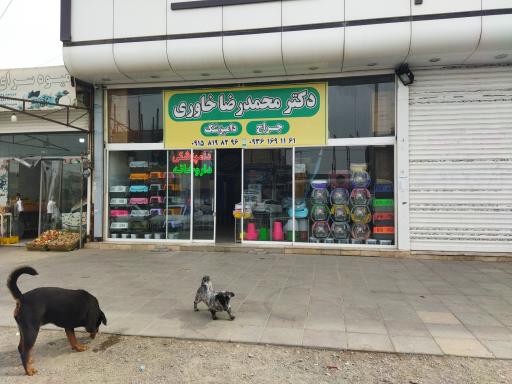 عکس دامپزشکی دکتر خاوری
