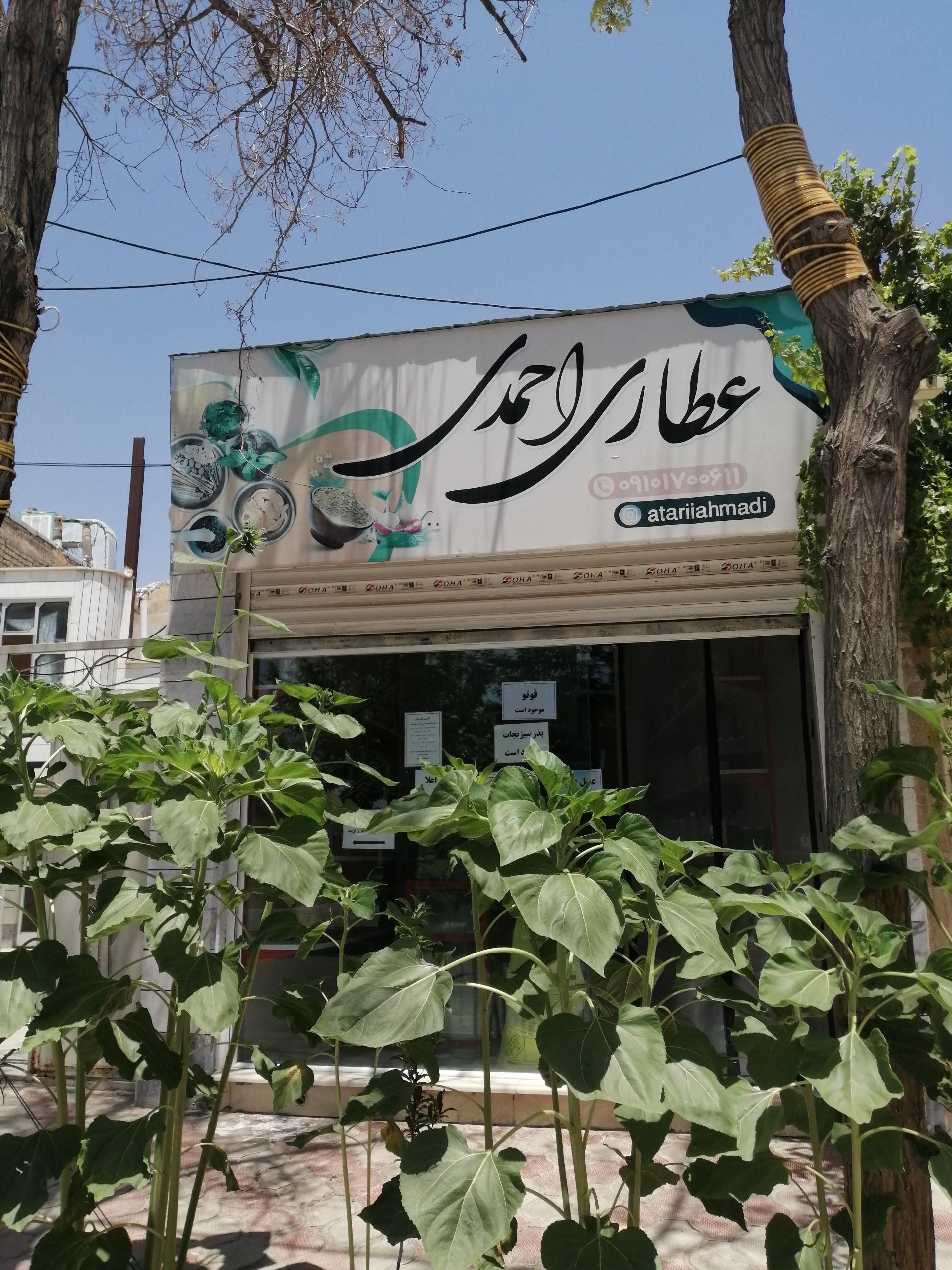 عکس عطاری احمدی 