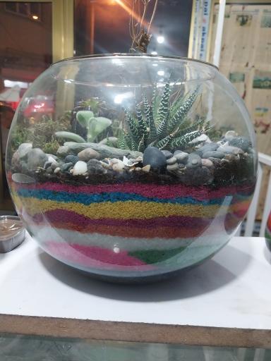 آکواریوم آنجل فیش